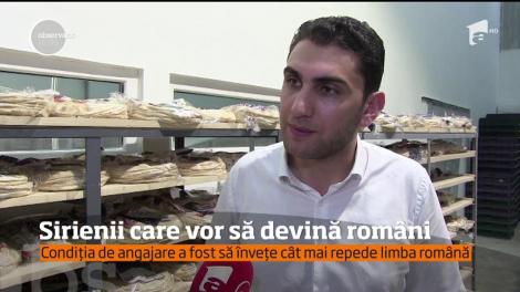 Patru refugiaţi sirieni vor să devină români! Bărbații au fost angajați la fabrica de lipii de lângă Cluj-Napoca