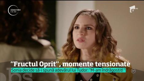 "Fructul oprit", momente tensionate! Sonia decide să-i spună adevărul lui Tudor: "M-am îndrăgostit"