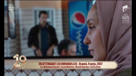 Cronica filmelor care trebuie vizionate: Barbara şi The Florida Project (2017)