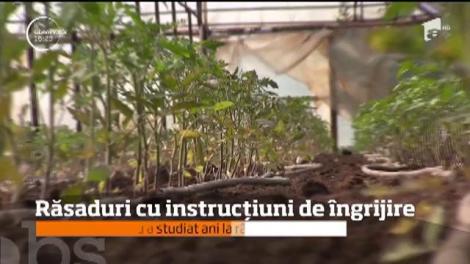 A inventat roșiile pentru diabetici și grădinile verticale, iar acum a uimit din nou lumea! Ce face acest inginer din Dolj