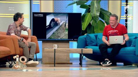 Smiley news: Câinii care reprezintă prefect echipa de la Neatza