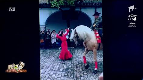 Smiley news: Cel mai talentat cal dansator