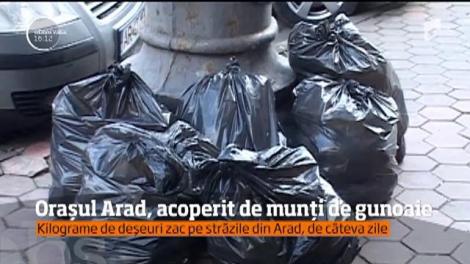 Orașul Arad, acoperit de munți de gunoaie