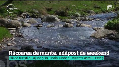 Cu mocăniţă, de 1 Mai. Zilele acestea în ţara noastră au ajuns şi foarte mulţi turişti străini