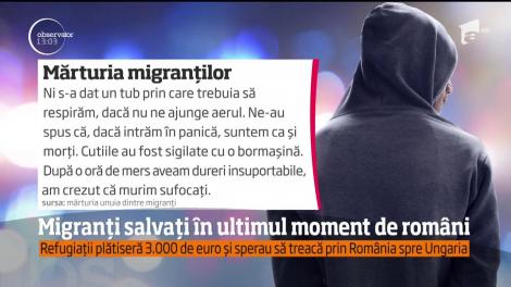 Migranți salvați în ultimul moment de poliţiştii români. Erau transportați în cutii aproape ermetice
