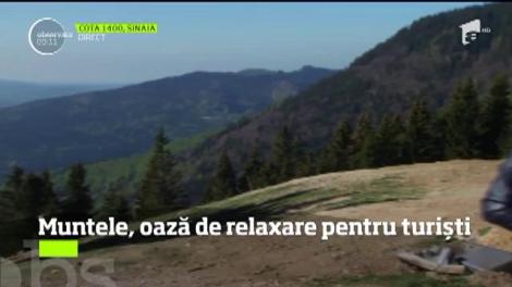 Muntele, oază de relaxare pentru turiști