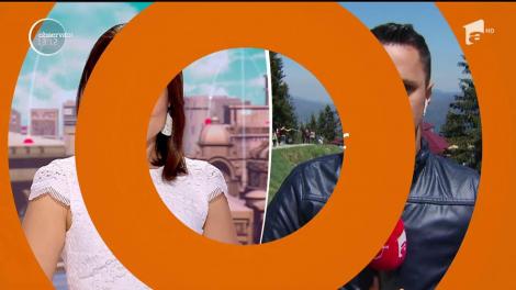 S-au căţărat într-un brad, de frica ursului