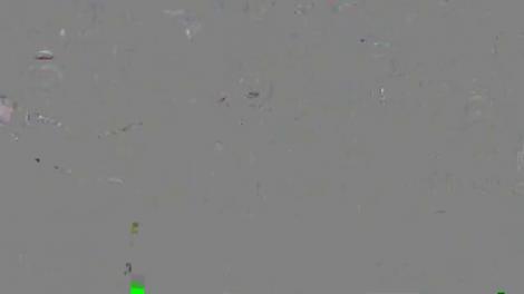 Donald Trump, absent la dineul jurnaliştilor