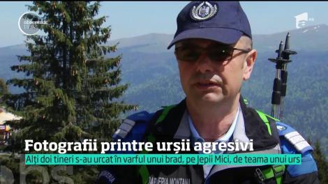 Fotografii printre urși agresivi. La Bâlea Lac, un pui de urs aproape că a atacat un grup de oameni