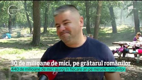 Câte milioane de mici mănâncă românii în minivacanța de 1 Mai! De pe mesele lor nu lipsesc nici coastele, aripioarele de pui și mușchii