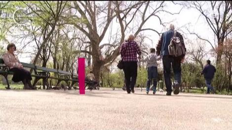 Rom&acirc;nii vor o familie tradiţională