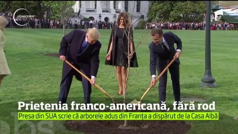Celebrul stejar plantat de Donald Trump şi de Emmanuel Macron pe peluza de sud a Casei Albe a dispărut