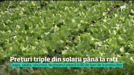 Preţuri triple la legume din solarii până la raft