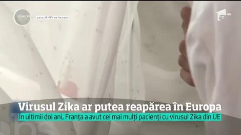 Invazie de ţânţari-tigru, purtători ai virusului Zika, în jumătate din teritoriul Franţei