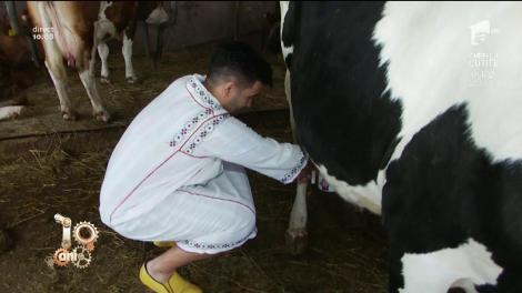 De Ziua Muncii, Nadir a ajuns la fermă: ”M-am gândit să mă apuc de muls calul!”