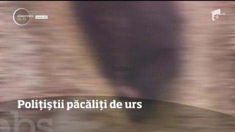 Polițiștii păcăliți de urs în  New Jersey