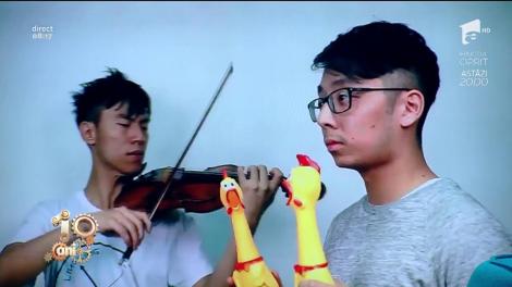 Smiley News! Melodia cântată la găină