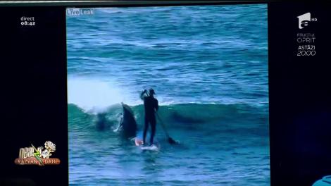 Smiley news: Surferul și delfinii