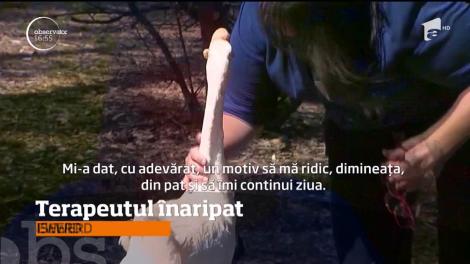 Povestea care face înconjurul lumii: "Mă temeam că voi ajunge om al străzii!" Cum a reușit o tânără să se lase de droguri și alcool