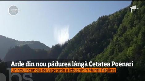 Arde pădurea lângă cetatea Poenari, la baza Transfăgărăşanului, iar accesul în zonă a fost blocat