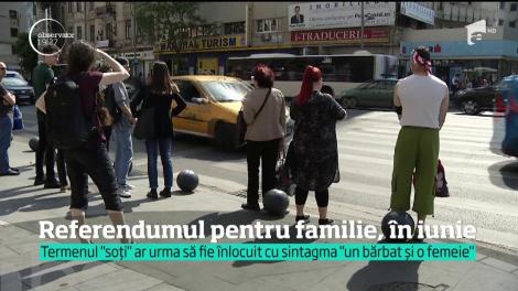 Referendumul pentru modificarea Constituției pe tema definiției familiei va avea loc în iunie