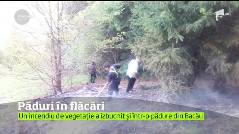 Incendiile de vegetaţie par tot mai greu de ţinut în frâu