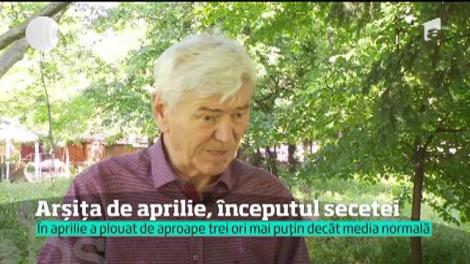 Consecințe devastatoare! Metorologii avertizează dur: "Răul abia vine. În următorii ani, verile vor fi tot mai calde"