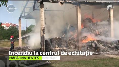 Incendiu de proporţii la centrul de echitaţie din Târgu Mureş