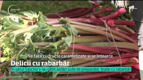 Delicii cu rabarbăr