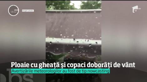 Vremea o ia razna! Ploaie cu gheaţă şi copaci dobor&acirc;ţi de v&acirc;nt! Ne aşteaptă o săptăm&acirc;nă cu furtuni &icirc;n toată ţara