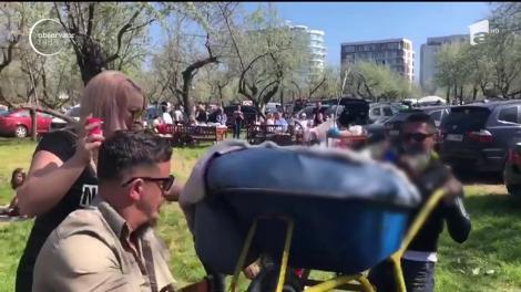 Cu o roabă plină cu bere a iarbă verde