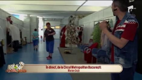 Circul Metropolitan Bucureşti pregăteşte spectacolul Reveria