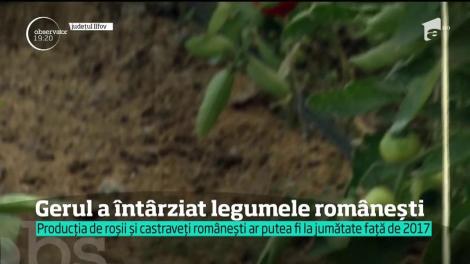 Legumele româneşti mai întârzie în acest an. Castraveţii şi ardeii autohtoni apar pe tarabe mai târziu cu o lună