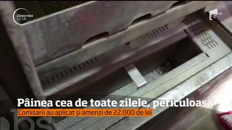 O fabrică de pâine din Constanţa a fost închisă după ce inspectorii protecţiei consumatorilor au găsit nereguli