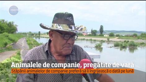 Cum trebuie pregătite animalele de companie pentru sezonul cald