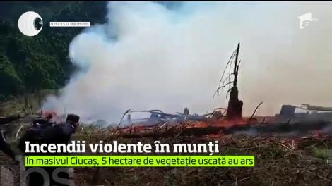 E alertă de incendiu în zona Vama Braşov. 5 hectare de vegetaţie uscată din Munţii Ciucaş au fost cuprinse de flăcări