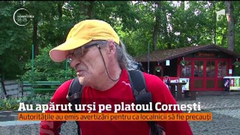Piste de alergare construite într-o zonă cu urși, se întâmplă în Târgu Mureș
