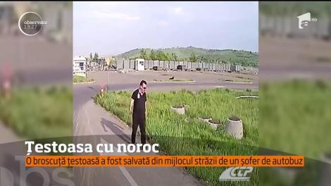 Un şofer de autobuz din Iaşi şi-a &icirc;ntrerupt cursa, pentru a salva o viaţă nevinovată!