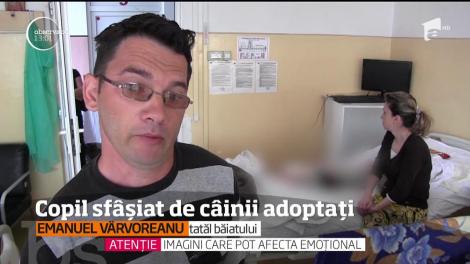 Copil sfâșiat de câinii adoptați. Incidentul s-a petrecut în orașul Arad