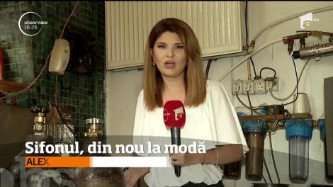 Sifonul, din nou la modă