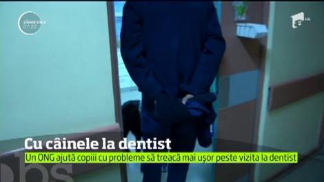Cu câinele la dentist