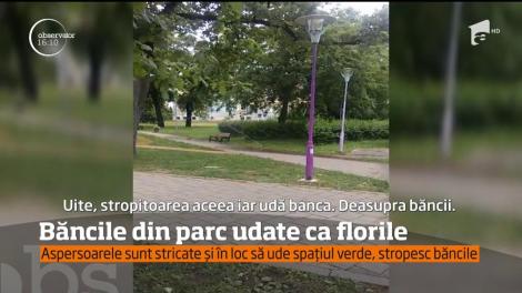 Băncile din parcul copiilor din Timişoara udate ca florile!