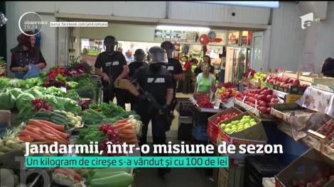 Viralul zilei. Înarmaţi până în dinţi, mascaţii au transportat un pachet de o valoare inestimabilă, format din două cireşe!