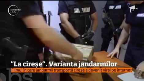 „Misiune imposibilă” cu două cireșe pentru jandarmii români! Echipați până în dinți, aceștia au făcut spectacol