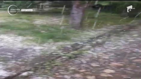 Grindina a făcut ravagii în sudul României