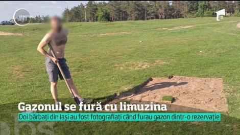 Doi bărbați din Iași, fotografiați când furau gazon dintr-o rezervație