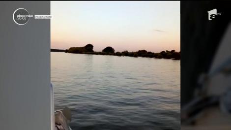 Accident CUMPLIT! Au căzut în Dunăre! Autoritățile sunt ÎN ALERTĂ GENERALĂ!