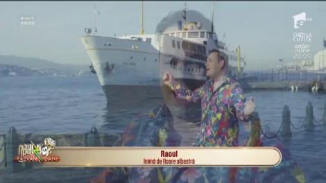 Raoul - ”Inimă de floare albastră”