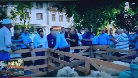 Nu ai cum să ratezi imaginile astea! Petre Daea, în acțiune: Ministrul Agriculturii, filmat în timp ce sare gardul la oi
