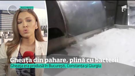 Gheaţă plină de bacterii şi germeni!